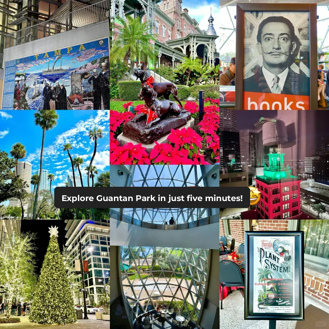 Teach You How to Explore Florida in 5 Minutes | Tampa ✌️