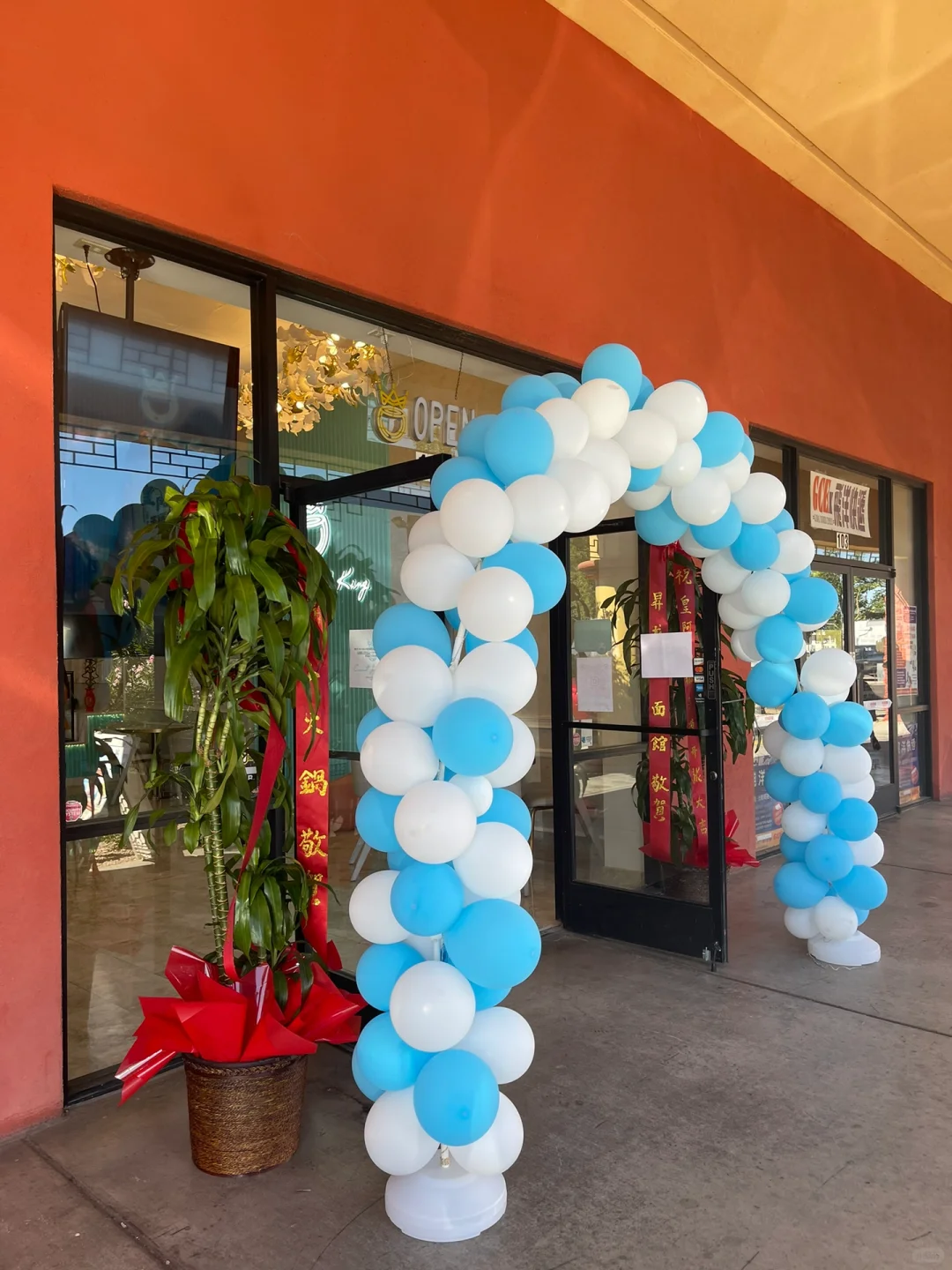 The first coconut jelly shop in Arizona, "Royal Coconut King," officially opens today! 🎉🥥