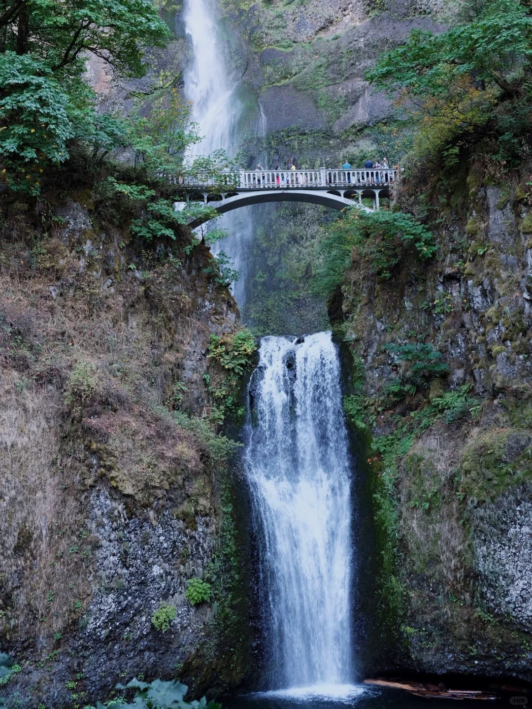 "Day Trip from Seattle to Portland and Surrounding Areas"