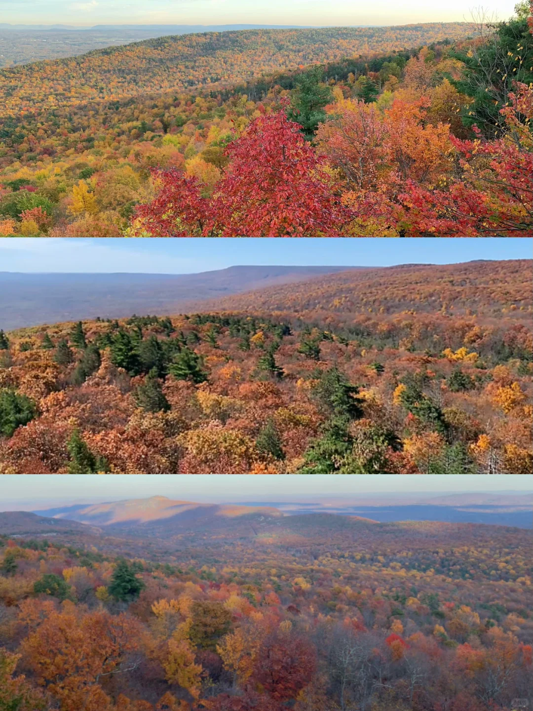 A Must-See Minnewaska Autumn Trail in NYC 🍁