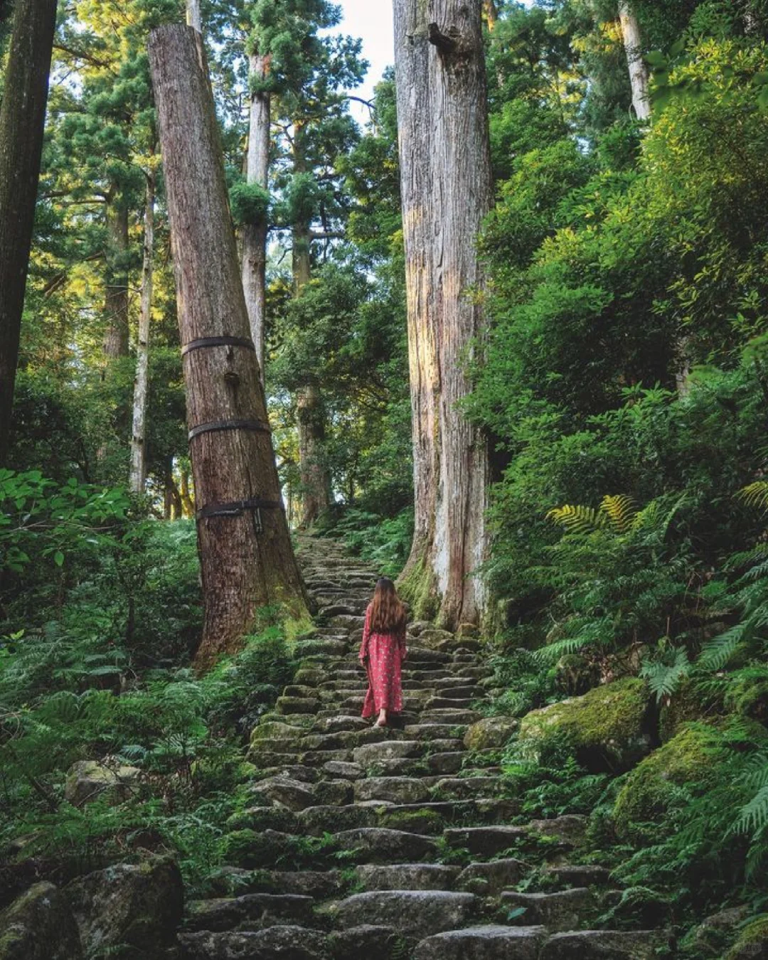 Kansai's Wakayama: An Underrated Gem 🌟