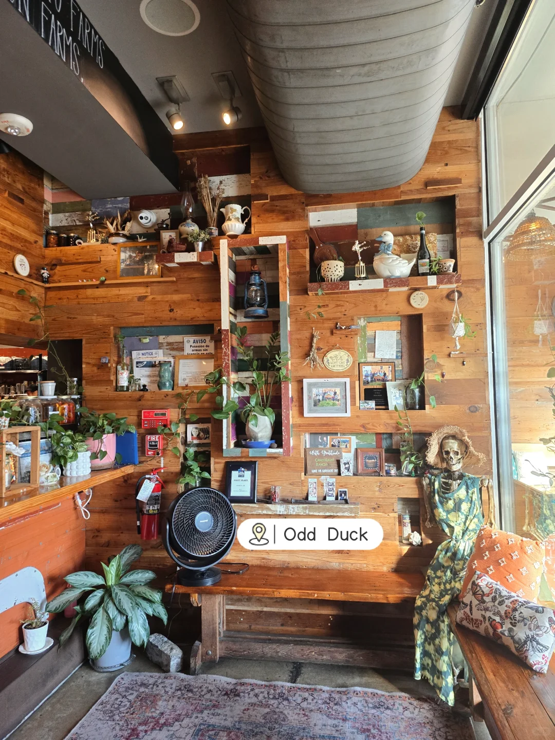 Must-Try American Eats in Austin!