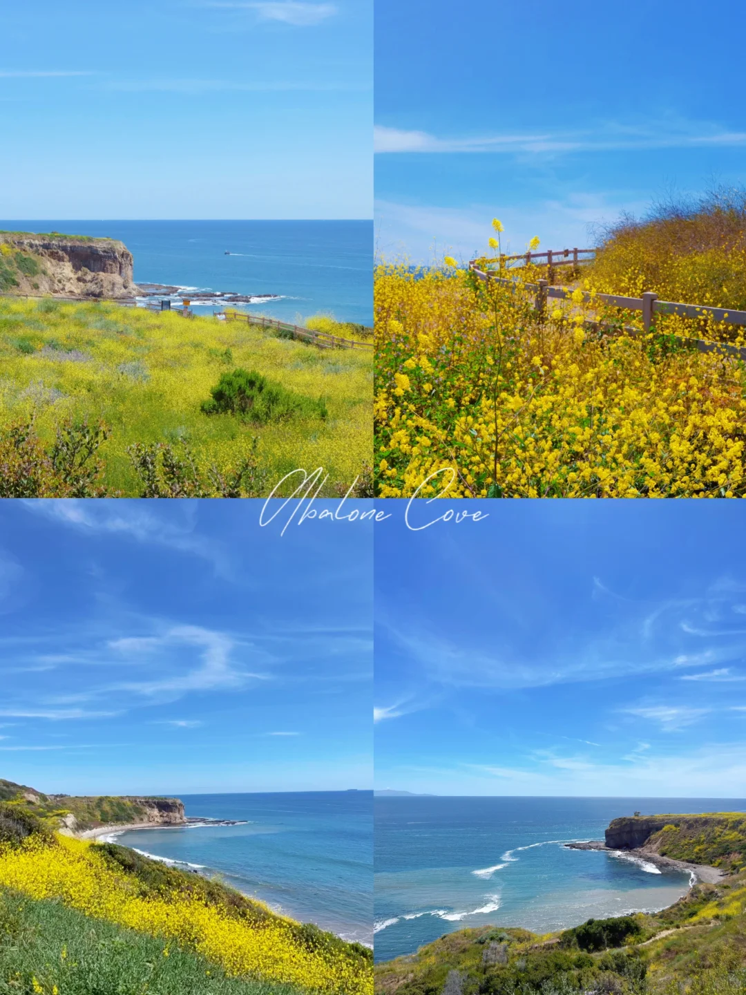 Hiking Trail｜A Secret Spot for Just Me and My Thoughts 🪻