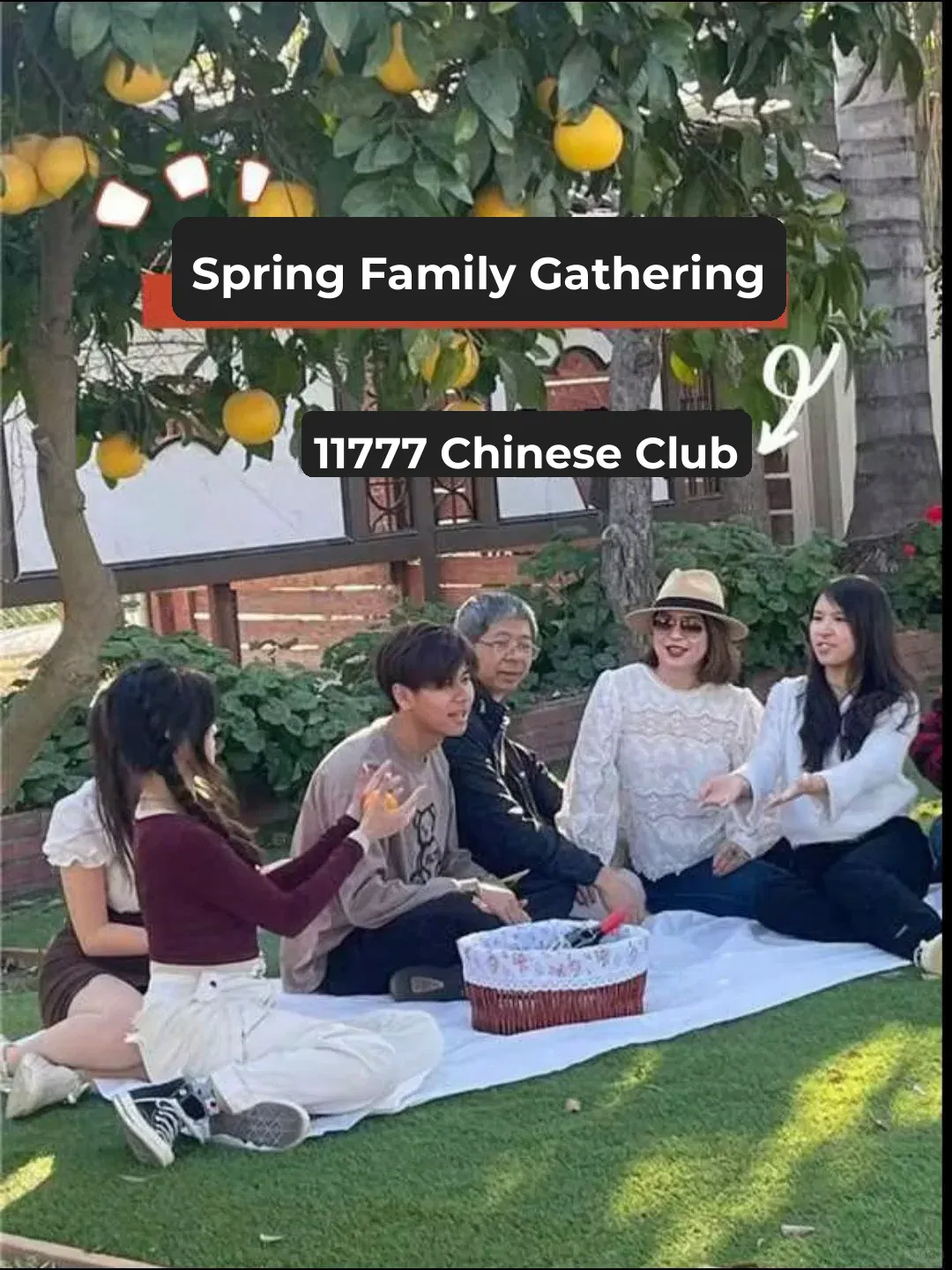 Springtime Bliss: Family Gatherings Filled with Laughter and Joy