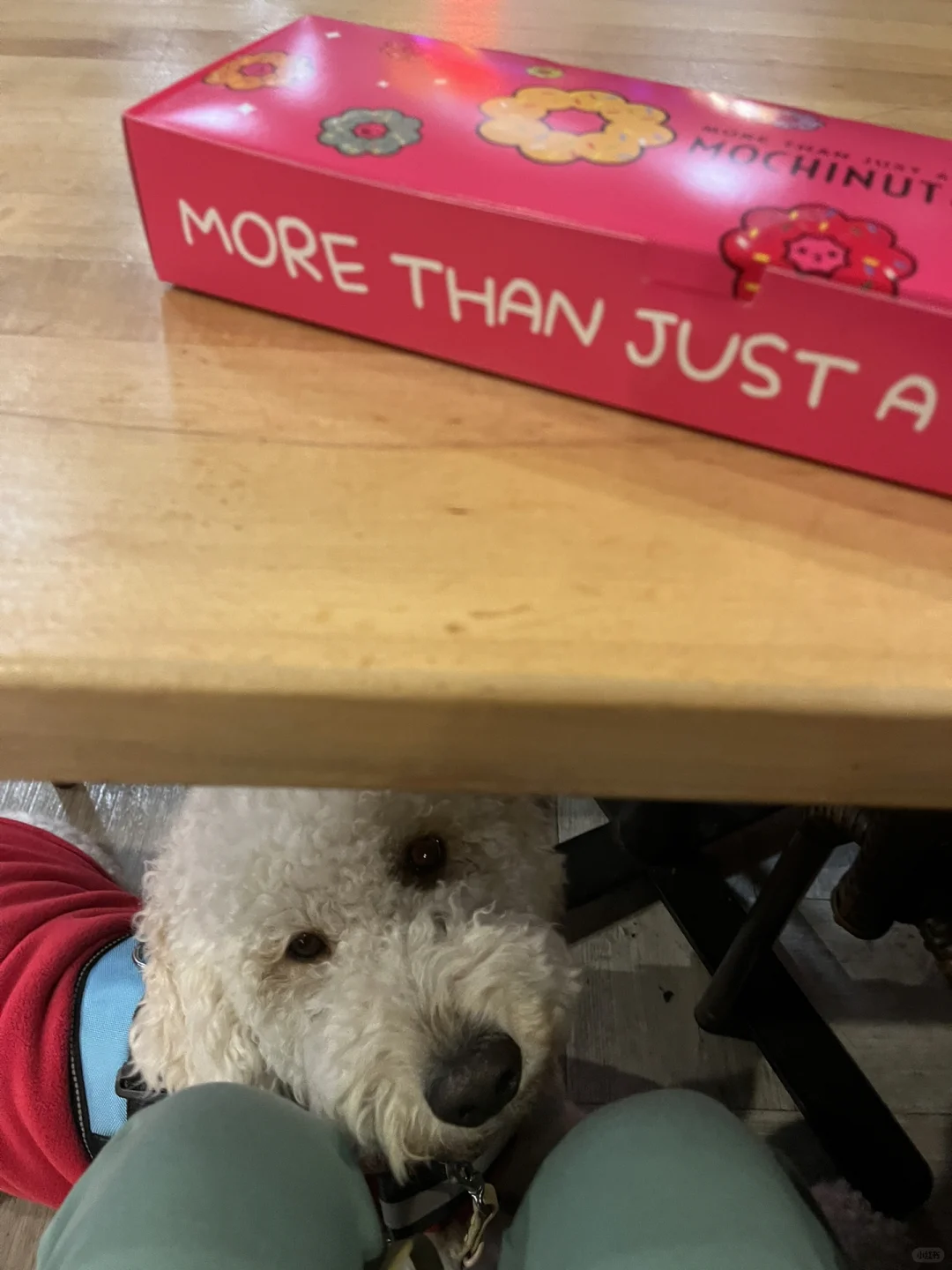 Today's Workout - Shopping Spree