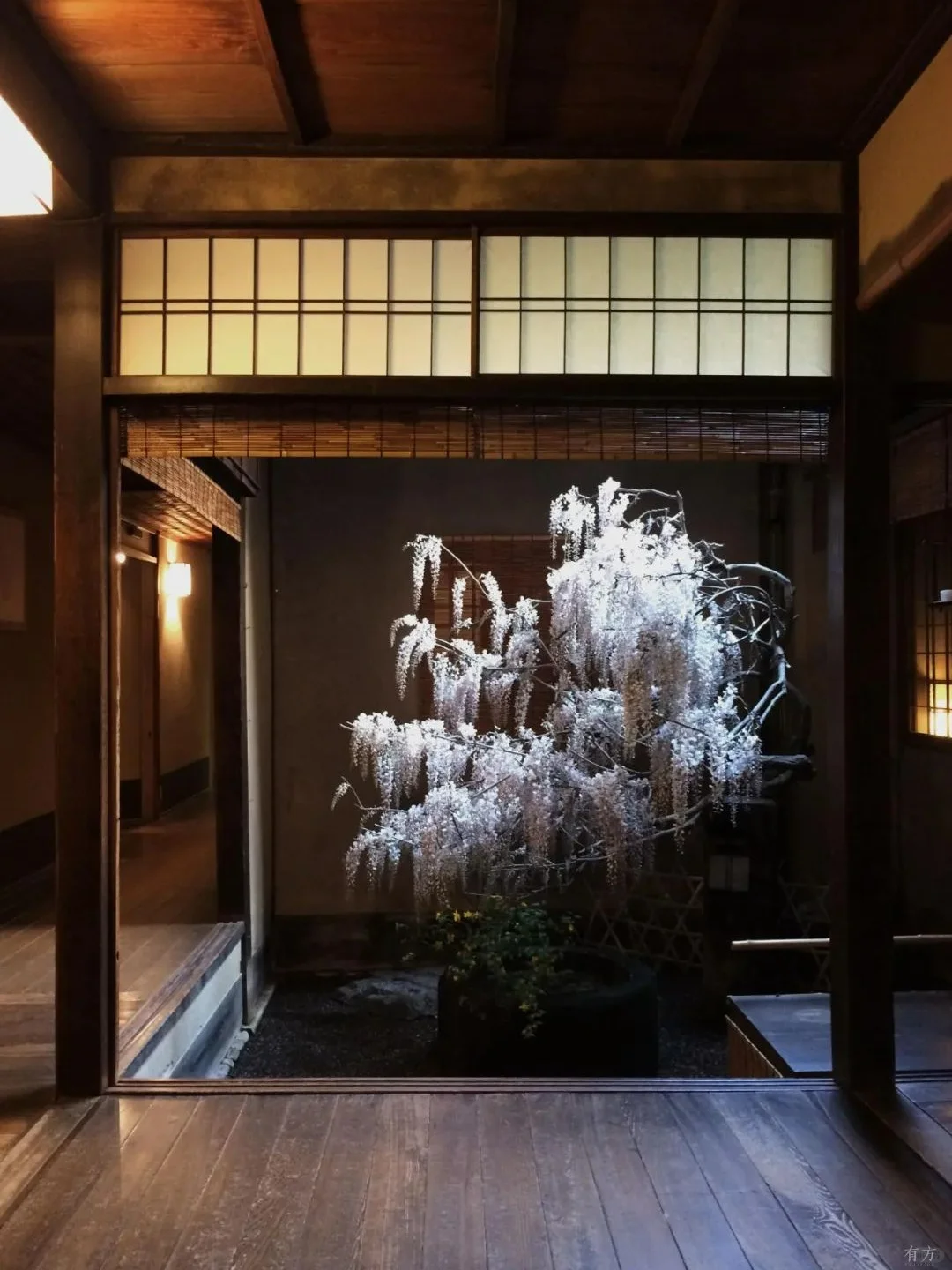 Exploring Kyoto's Top Ryokan: Tawaraya