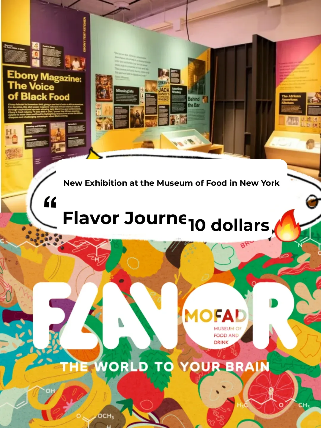 New York Food Museum's "Foodie New Exhibit" 🔥 Just $10