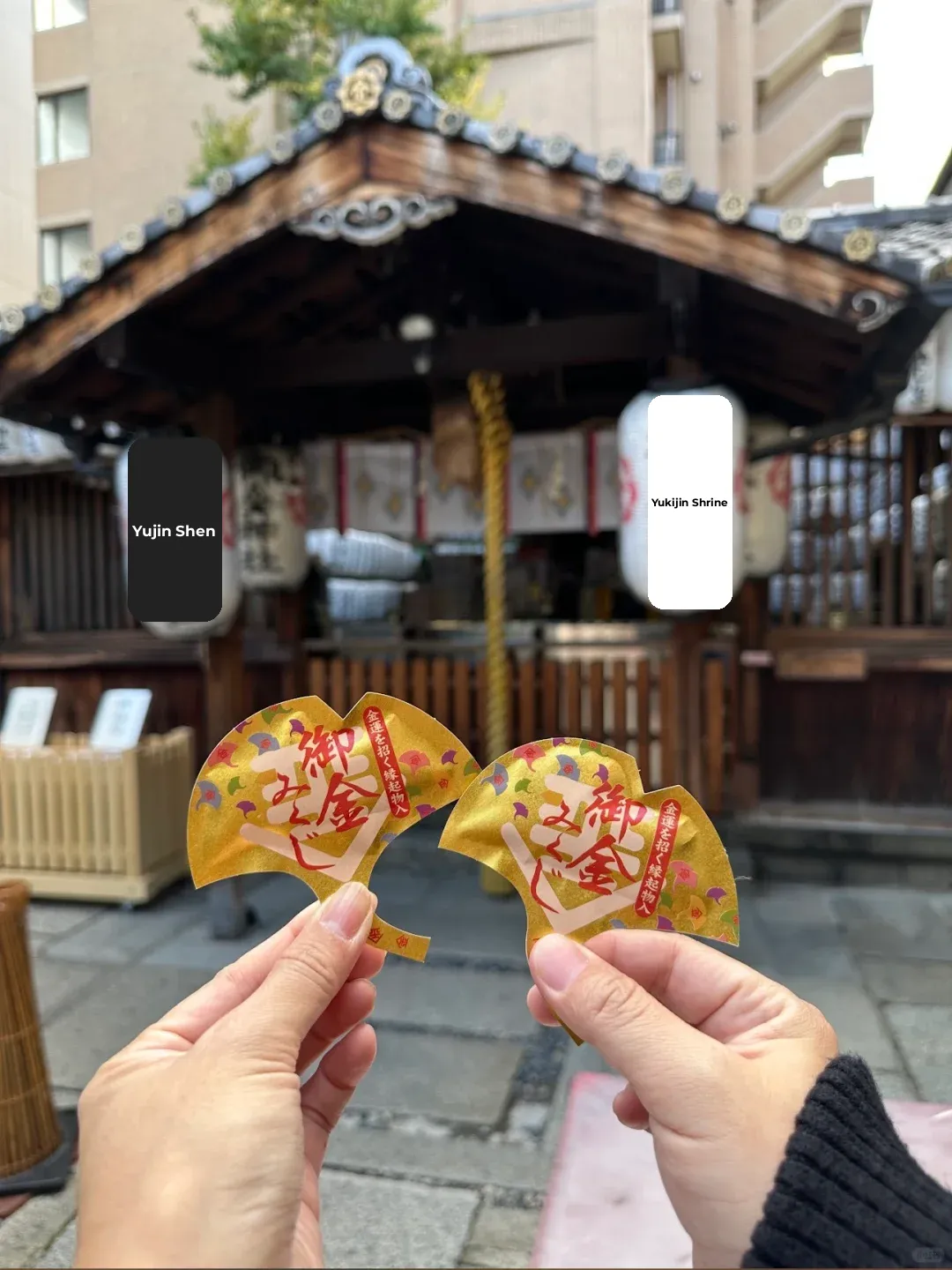 Don't Miss Out! Kyoto's Ultimate Shrine for Wealth! The Okinoshinja Shrine!