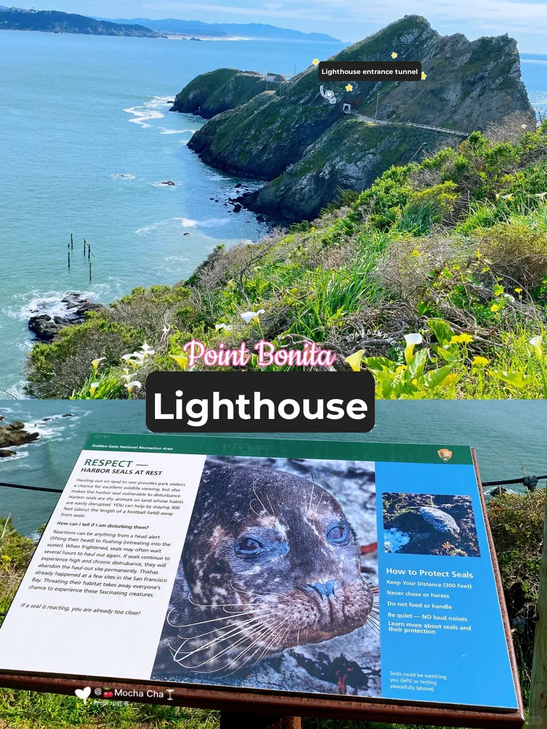 🌉 San Francisco Bay Area / Don't Miss the Breathtaking Views of the Golden Gate Strait 🌉