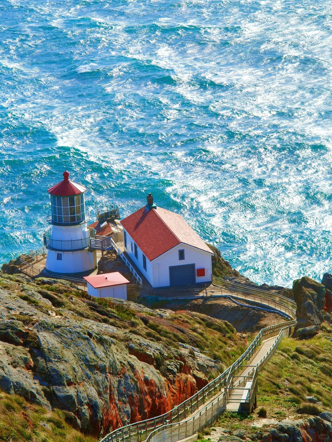 Don't Miss Point Reyes Before You Leave San Francisco!