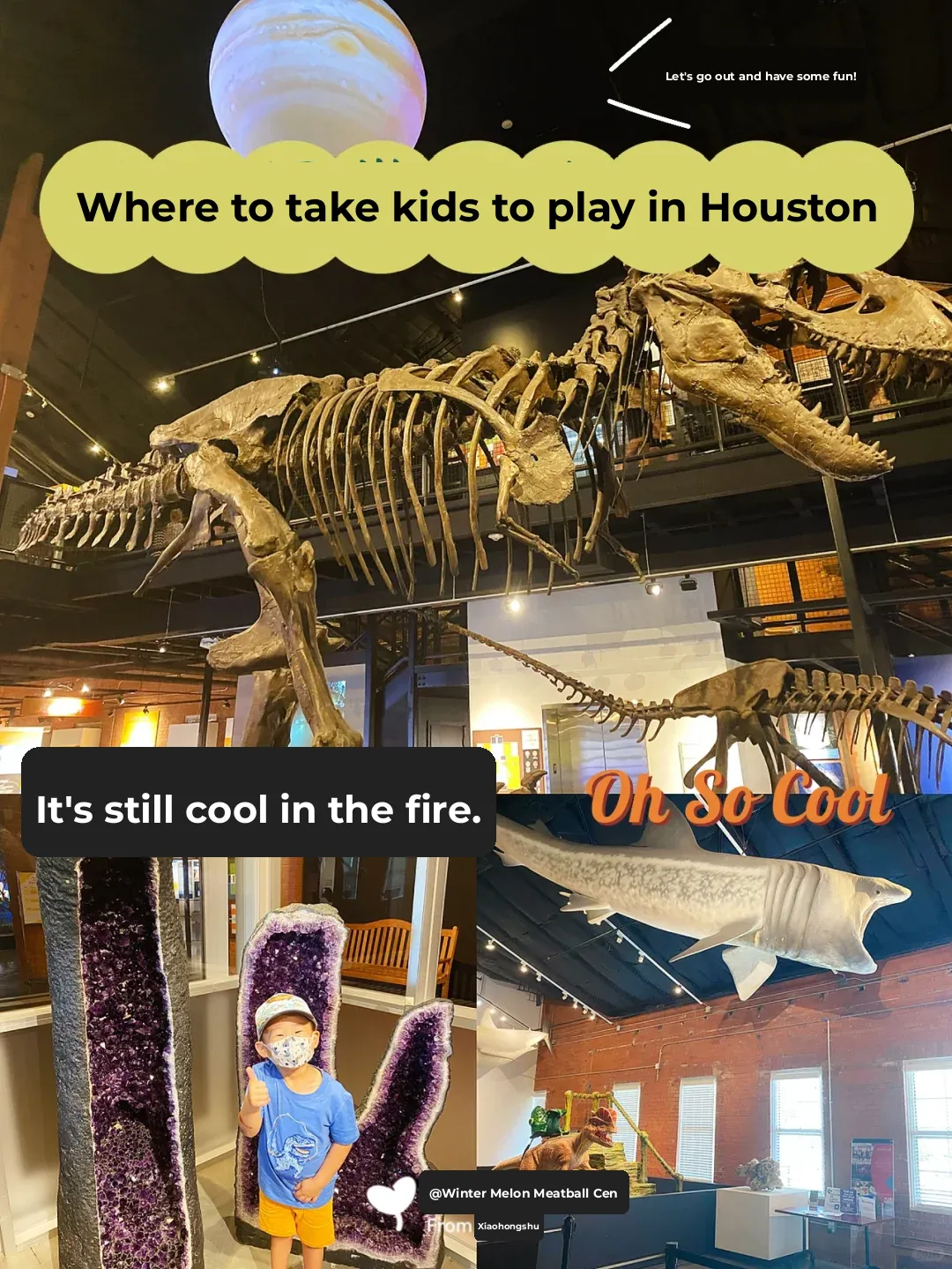 Where to Take Kids in Houston’s Scorching Heat? Affordable & Crowd-Free Spots 🌞