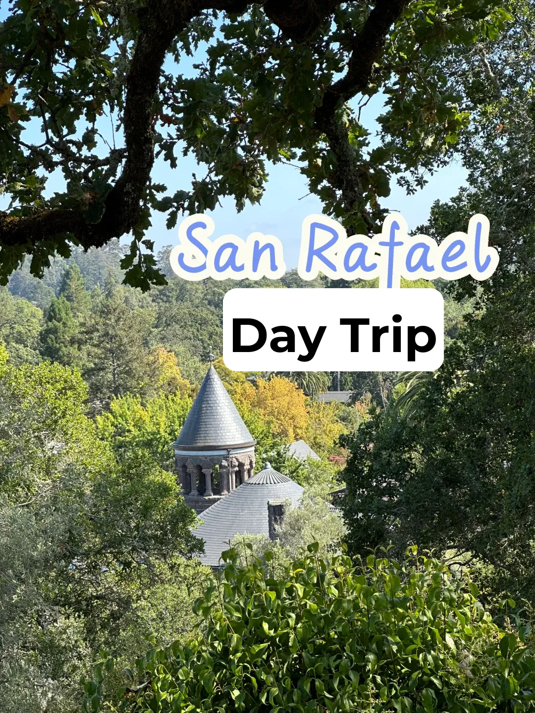 Bay Area Weekend | San Rafael Day Trip
