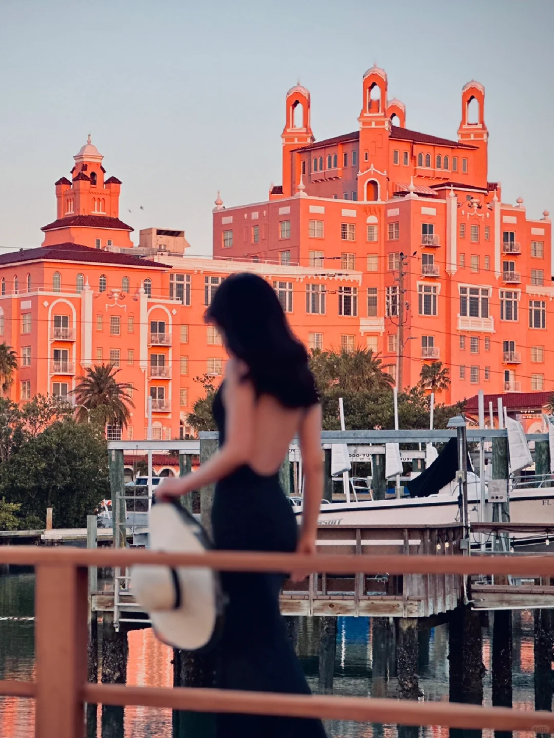 Tampa Travel Guide + Top Photo Spots Compilation!