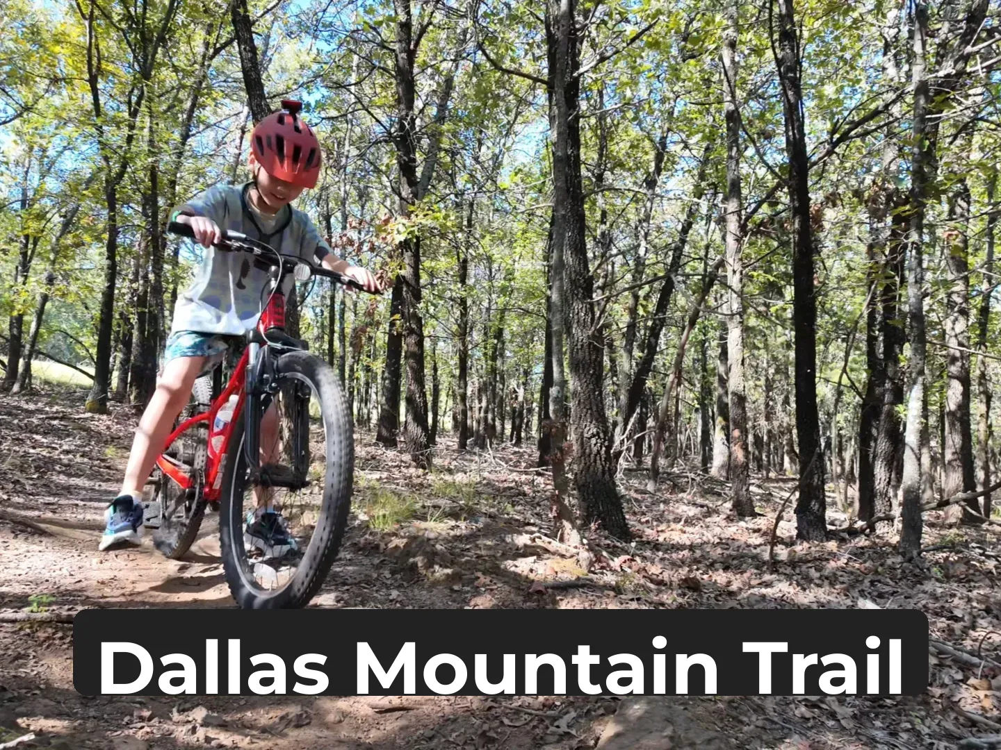 Dallas: The Perfect Weekend Spot for Kids—Mountain Trail