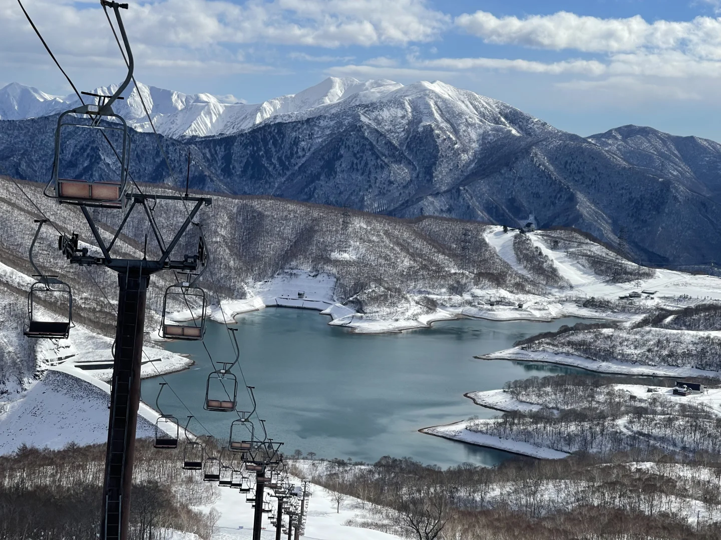 "Looking for a Long-Term Ski Buddy in Kita-Senju, Tokyo"