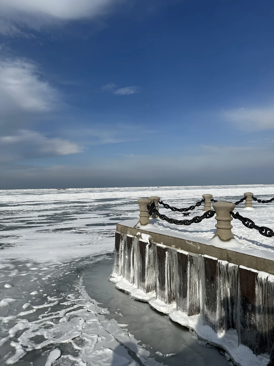 The lake in Cleveland is frozen solid🧊