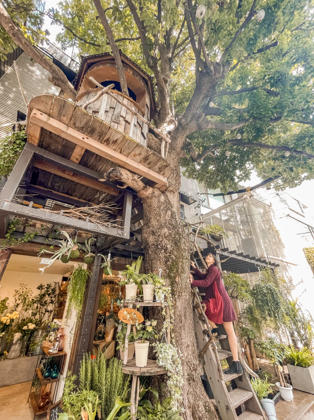 Top Picks: Cool Cafés in Tokyo