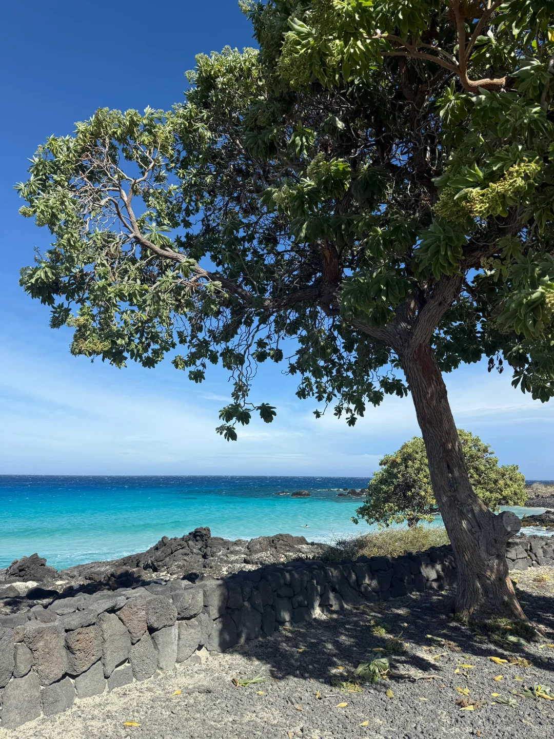 Hawaii Island (The Big Island)