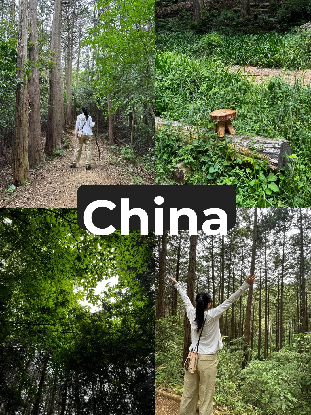 💖～2024/06/09｜Hiking Around Tokyo