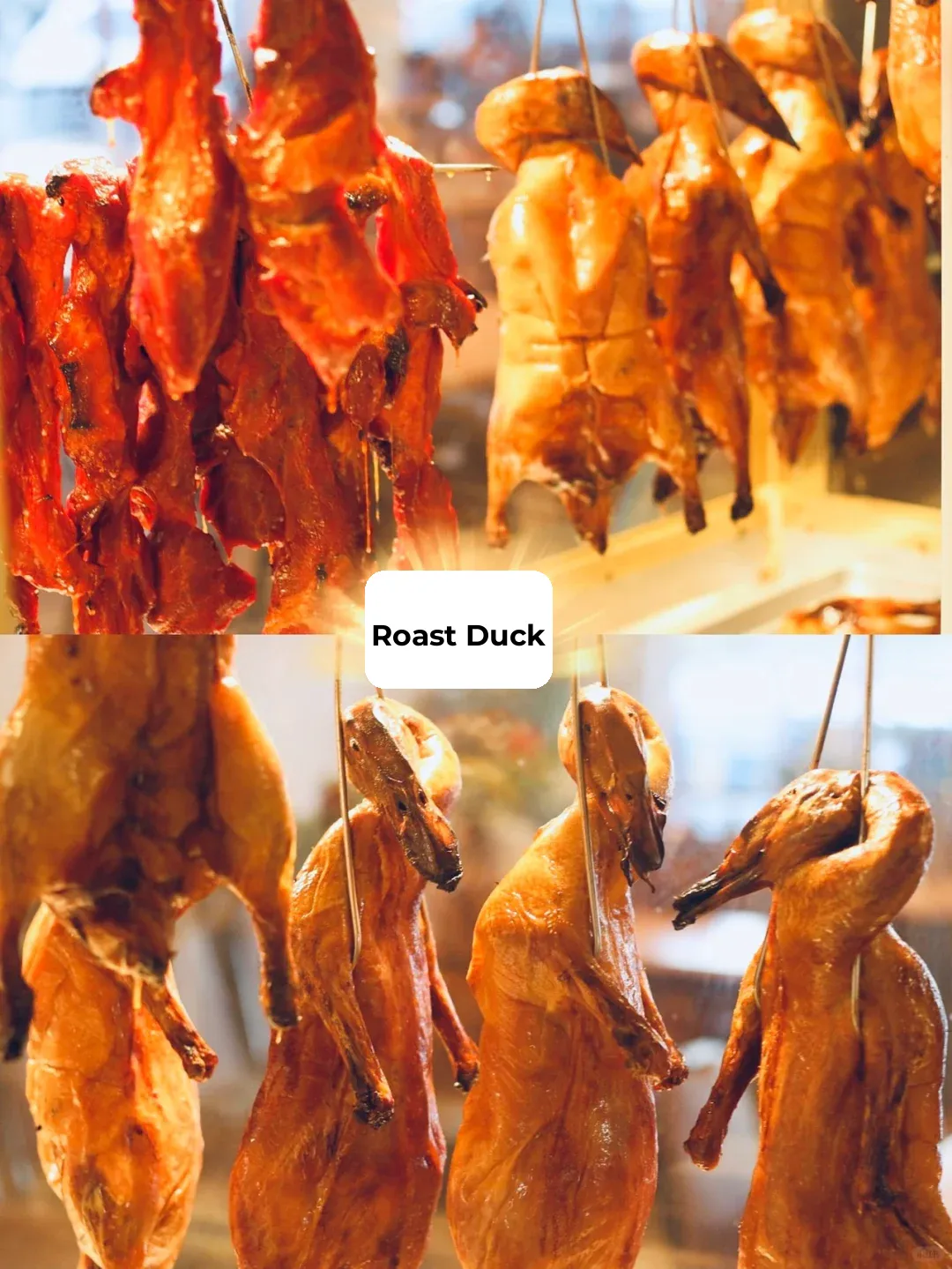 **Phoenix ✨ | Authentic and Affordable Chinese Cuisine ~ This Cantonese Restaurant is a Local Gem!**