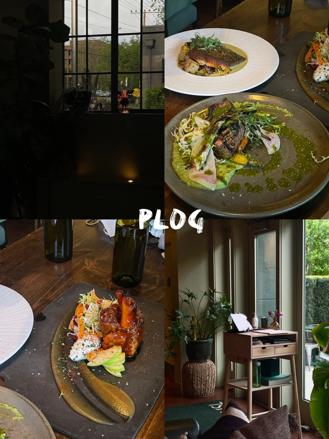 Wednesday Plog📝 Dinner