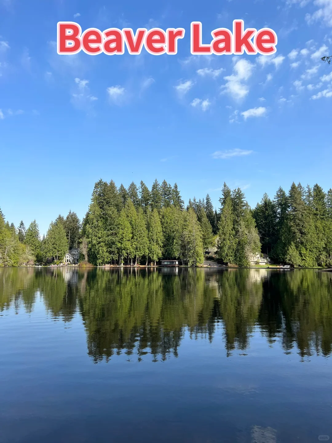 Hiking with Kids in Sammamish | Beaver Lake
