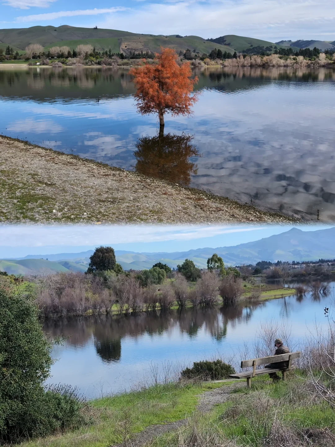 Bay Area | What a Heavenly Spot, Quarry Lakes!
