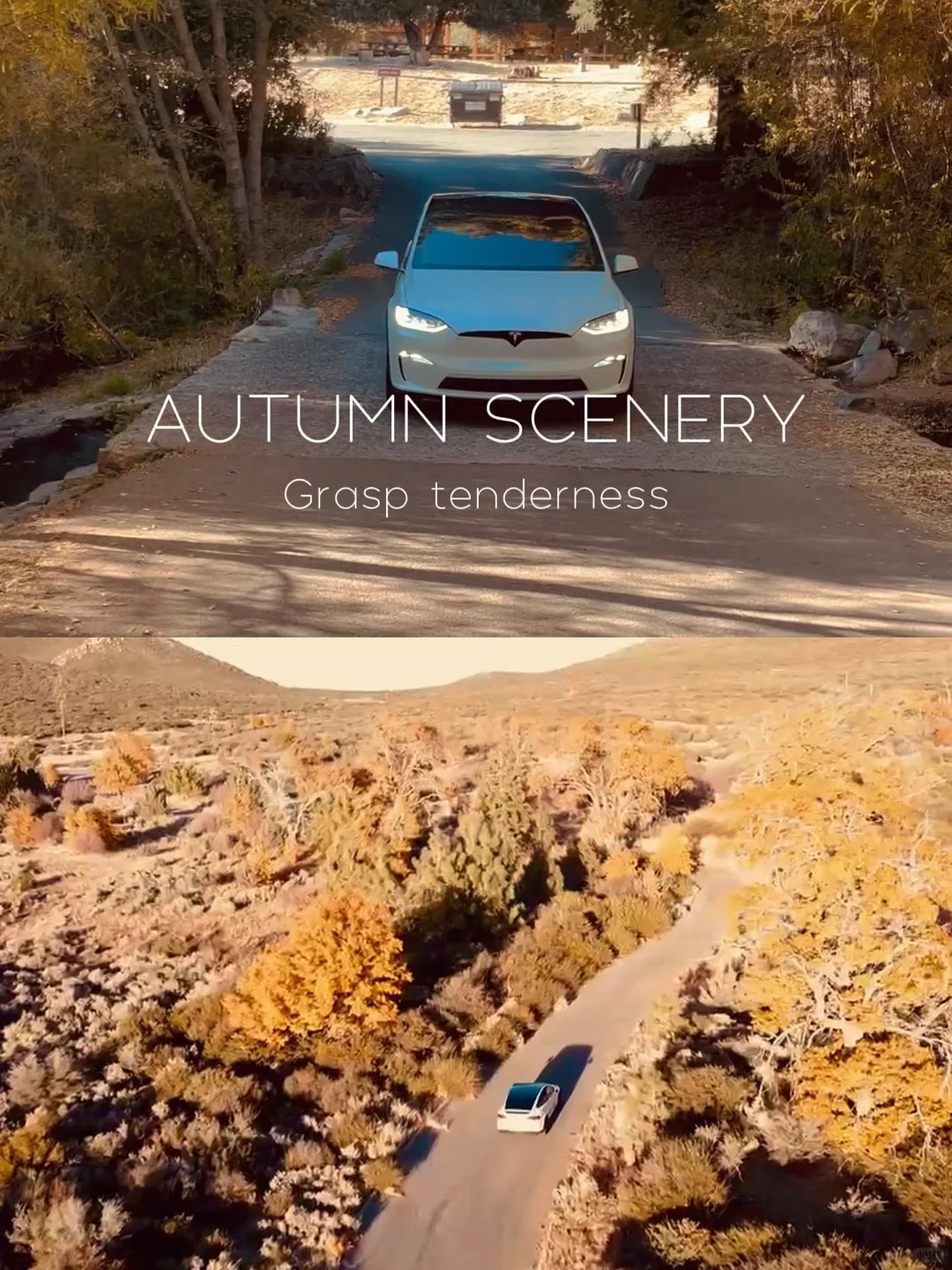 "Fall Foliage in Full Swing in San Diego's Suburbs 🍁"