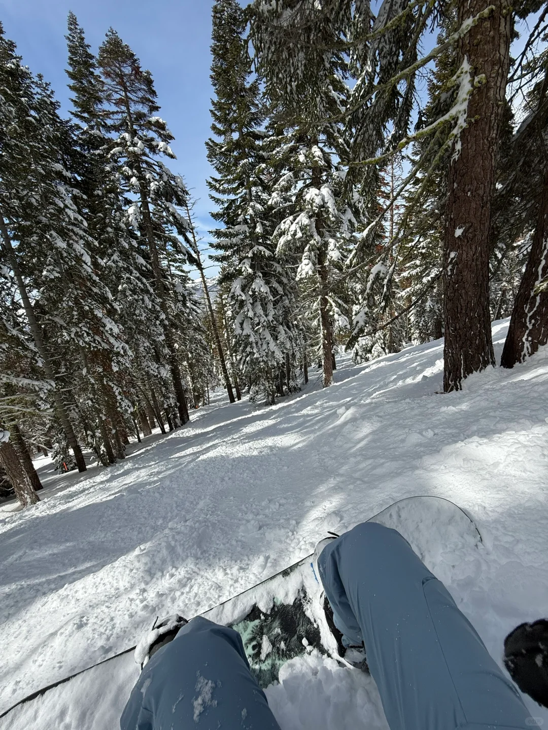 Looking for a Ski Group in Salt Lake City (SLC) from March 21-27