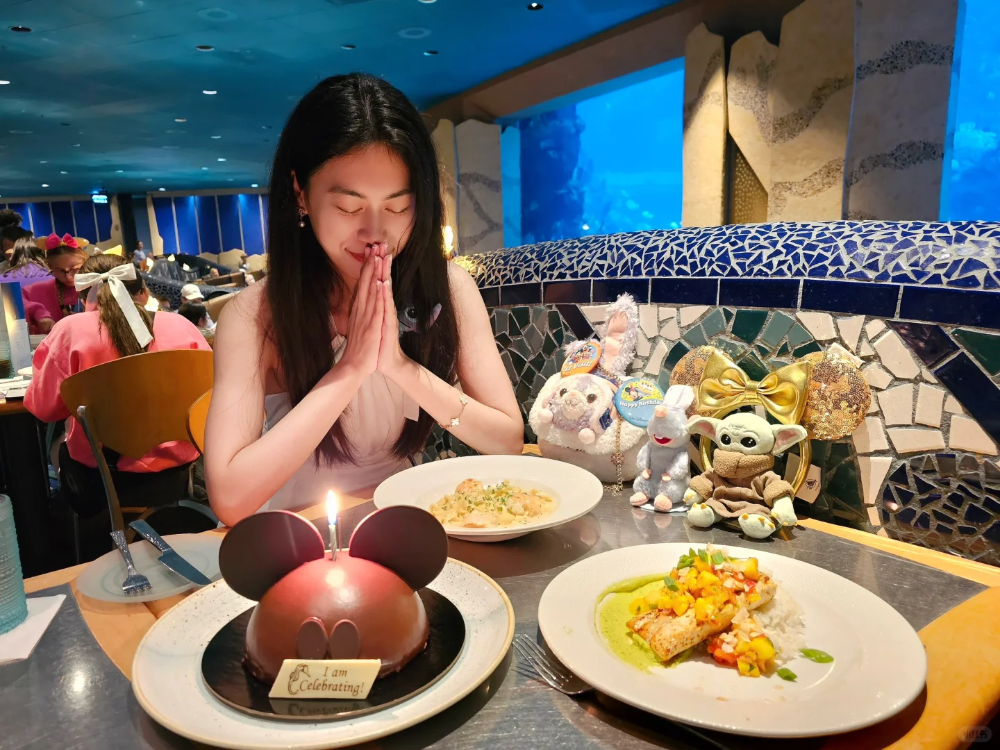 Orlando Disney Guide (Epcot & Birthday Edition)