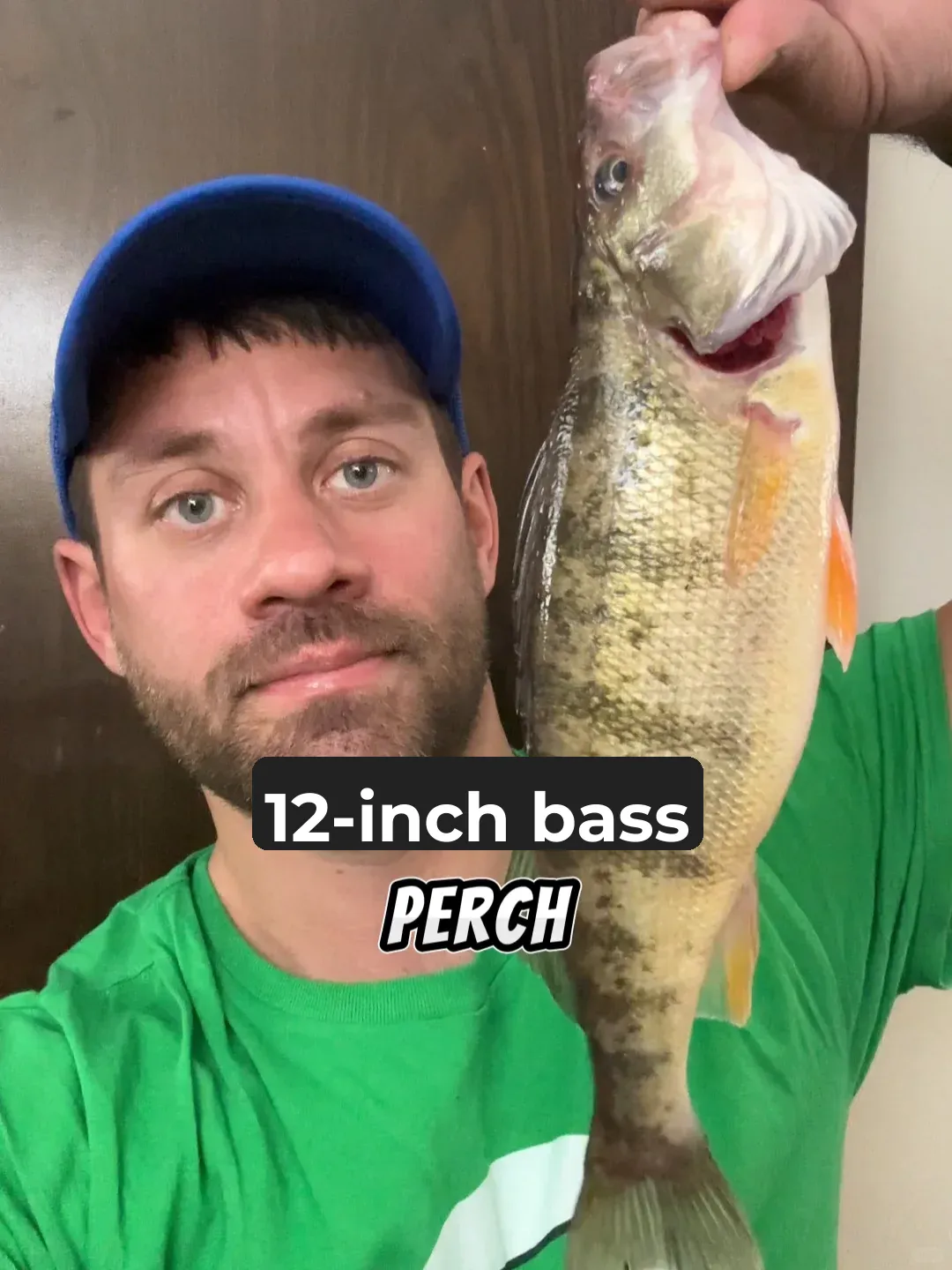 Winter Perch Fishing 🎣