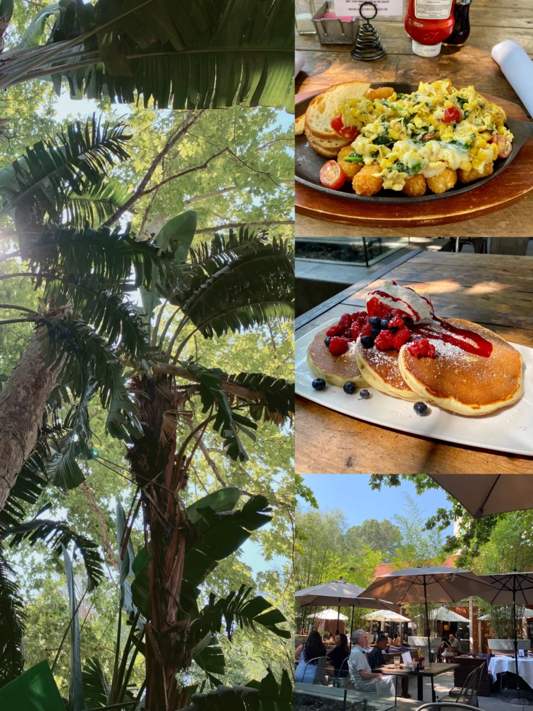 Sac | An American-Style Restaurant Hidden in the Woods