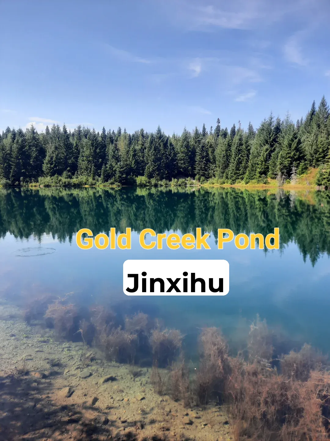 Gold Creek Pond (Jinxi Chitang) (Closing for 10 Years)