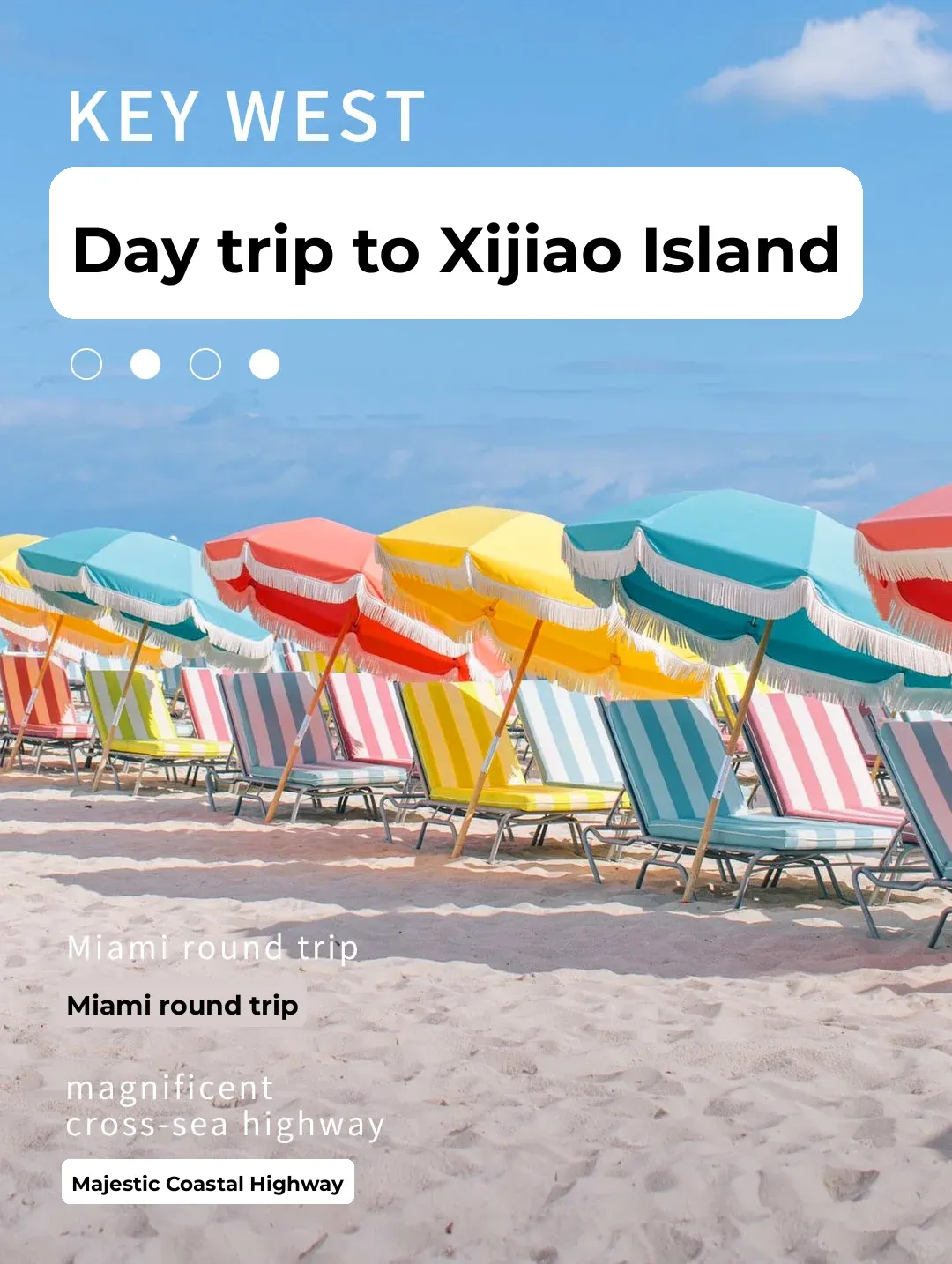 1-Day Miami to Key West Adventure | Dreamy Jellyfish Sea