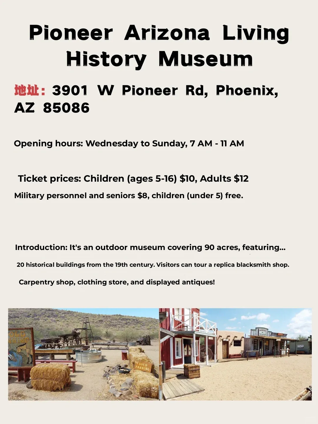 Museums in Phoenix You Never Knew About! The Last One is Seriously Cool