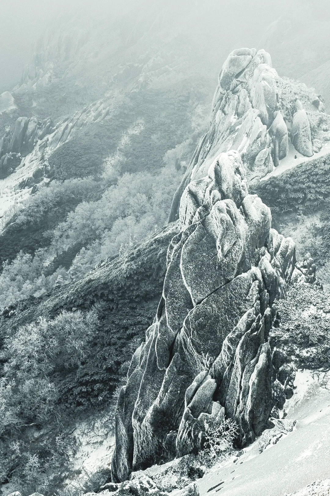 Tokyo Day Trip: While You're Admiring Autumn Leaves in the City, I'm Already Enjoying the Snow