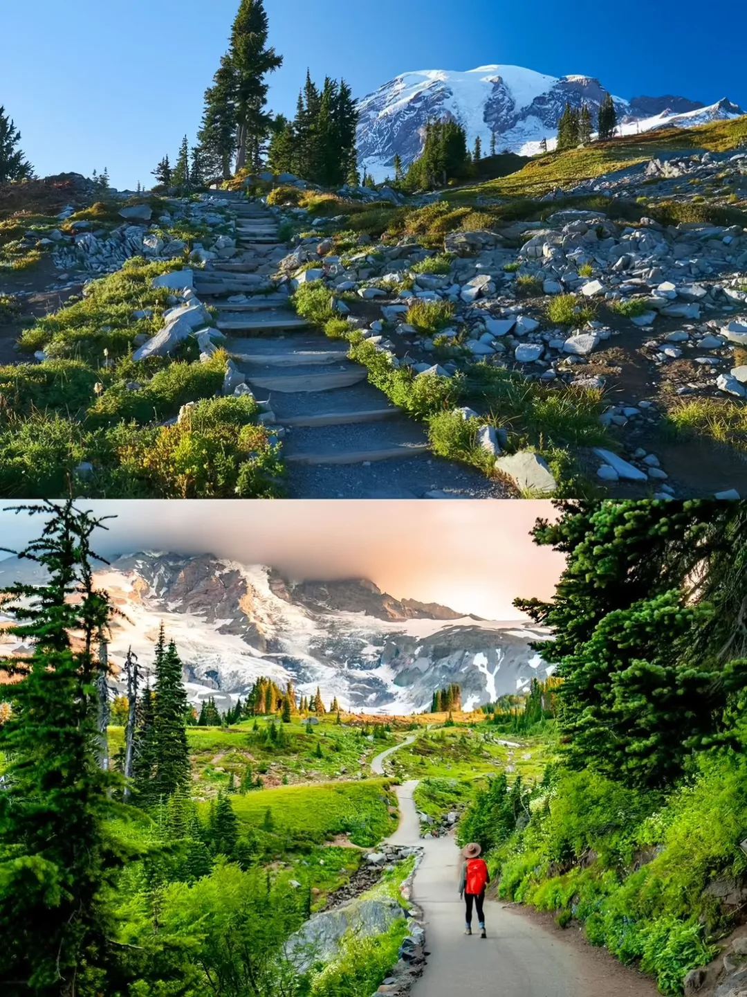 Popular Hiking Trails in Seattle ✅