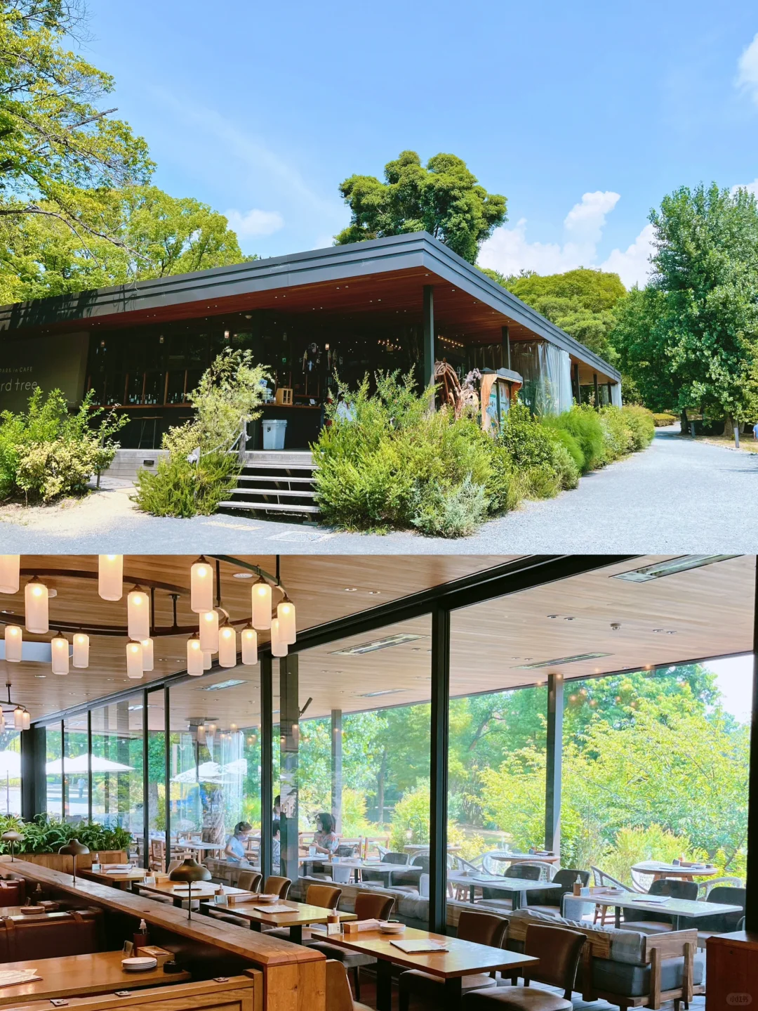 Stunning PARK CAFE in Osaka 🇮🇹