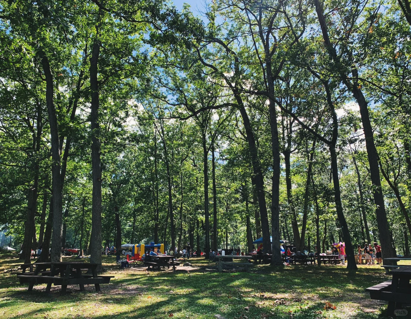 Around NYC | Tallman Mountain BBQ Haven