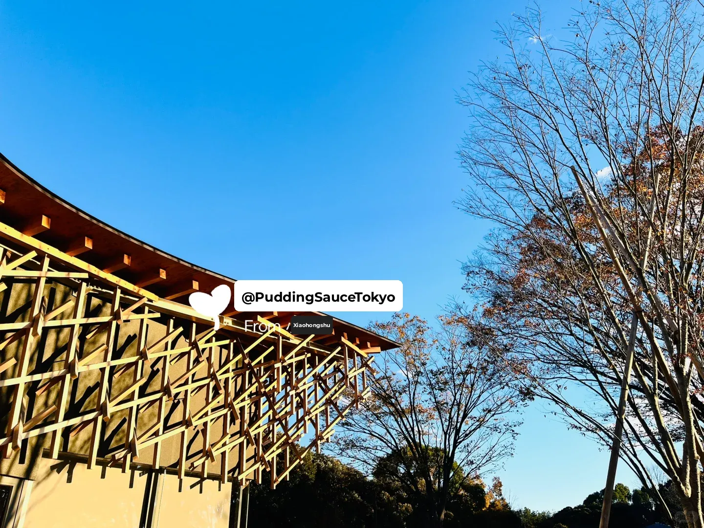 Tokyo Coffee Shop: Oka Cafe