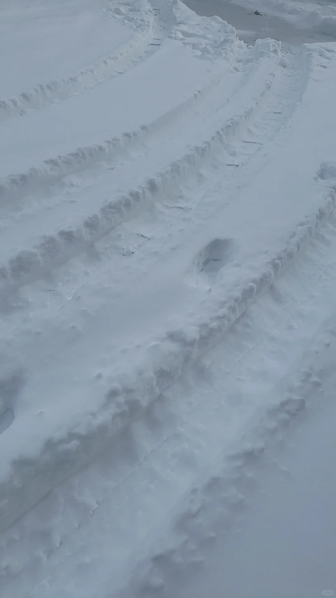 In Denver—Looking for Friends to Dine, Work Out, or Hike With