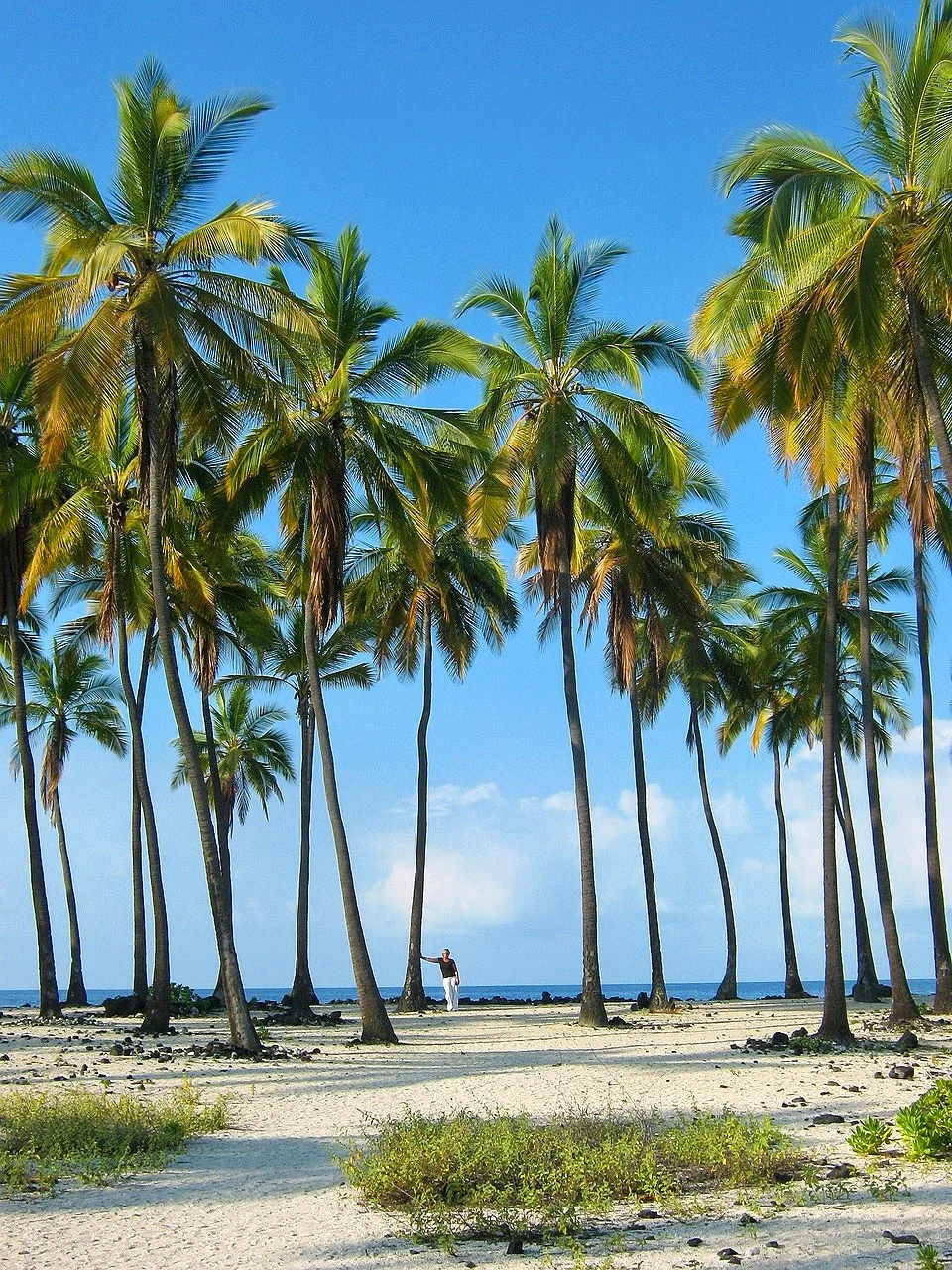 Just got back from Hawaii 😭 Here's what I have to say... (Tearful guide summary)