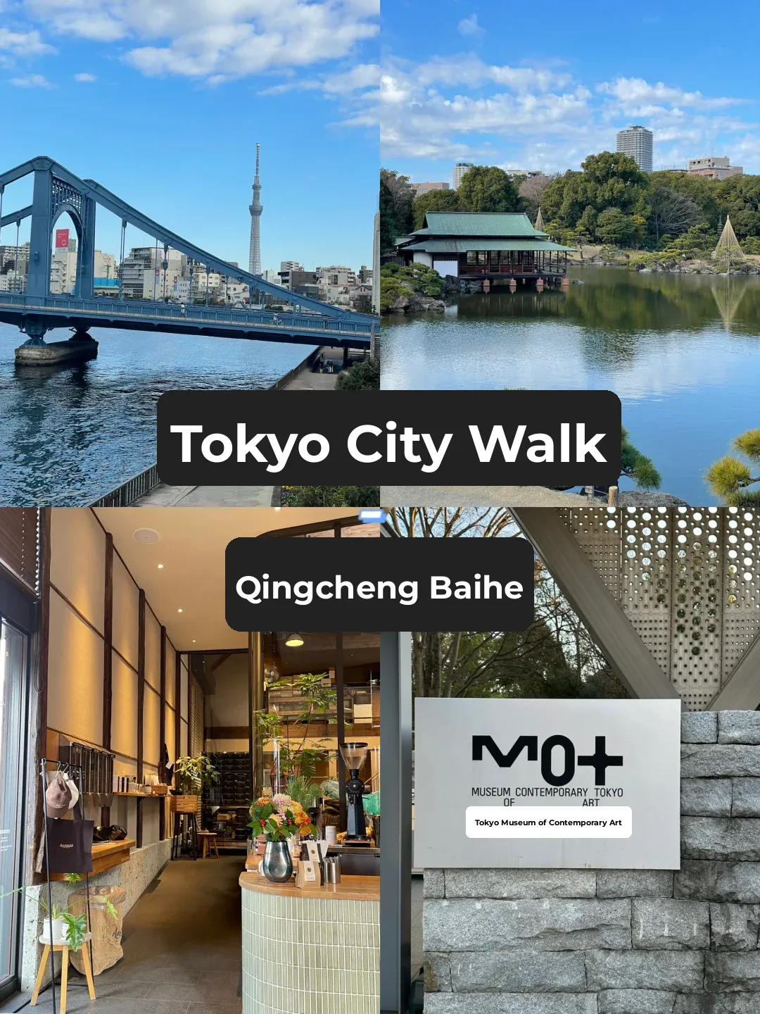 Tokyo Citywalk Hidden Gems | Super Relaxed and Totally Worth Exploring