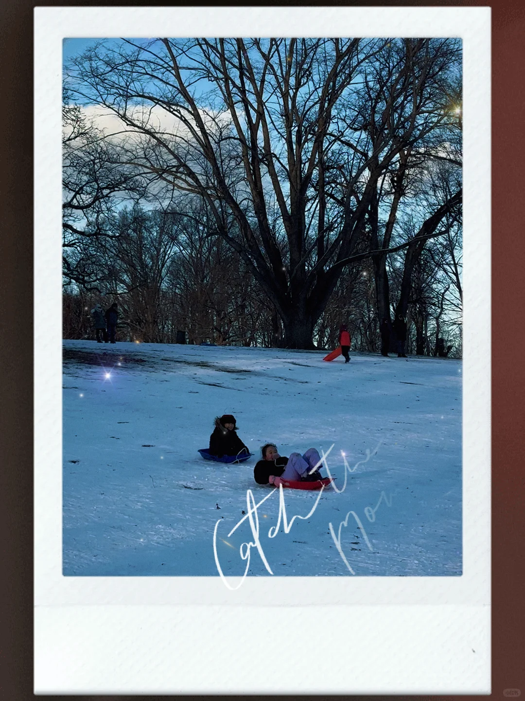 Winter ❄️ is the perfect time to play in the snow!