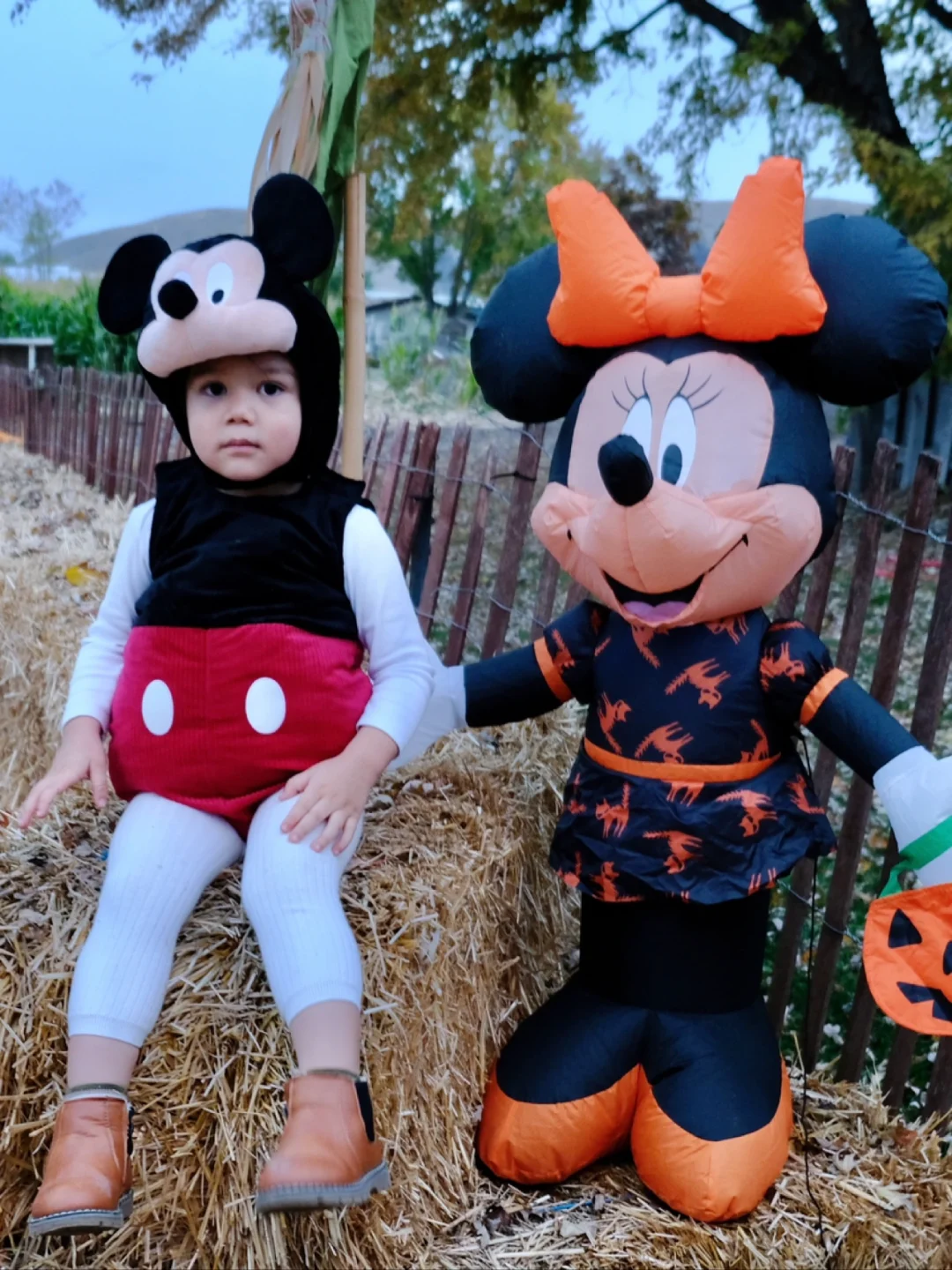 The Best Corn Maze Near Seattle—Spotting Mickey in the Wild