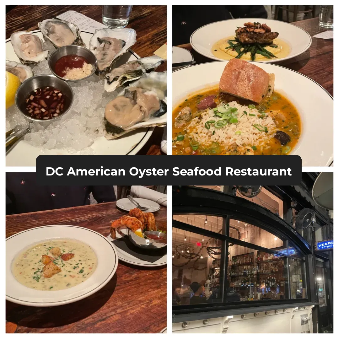 Washington, D.C. Food Guide | Best Spots for Oysters Near GWU