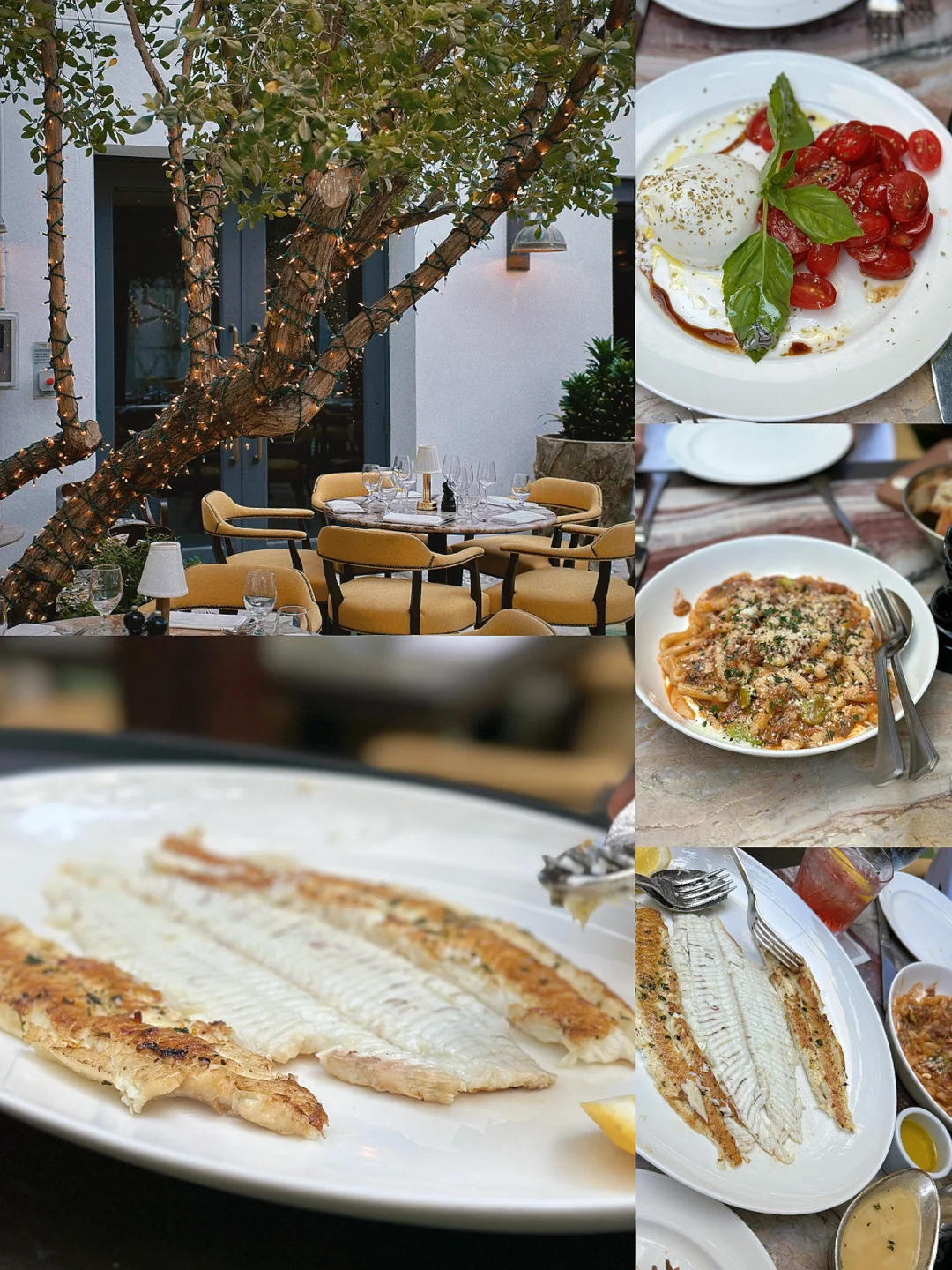 Miami's Top 3 Insta-Worthy Restaurants