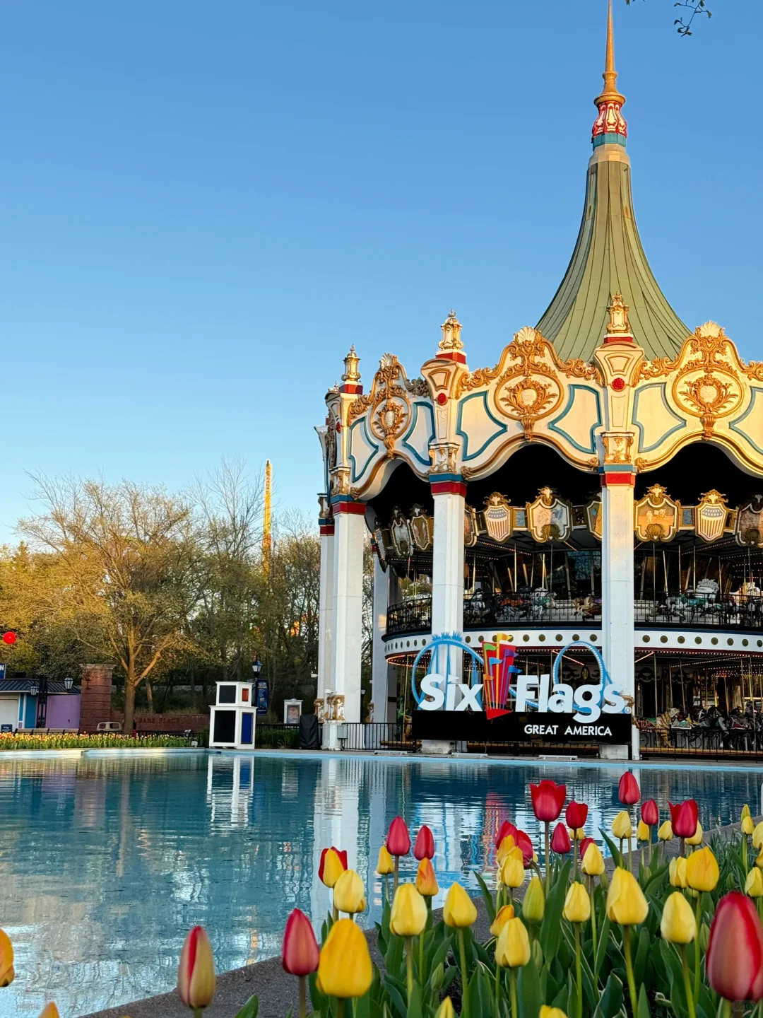 🎢 Six Flags Chicago is Now Open!! A Quick Guide 🤏🏻