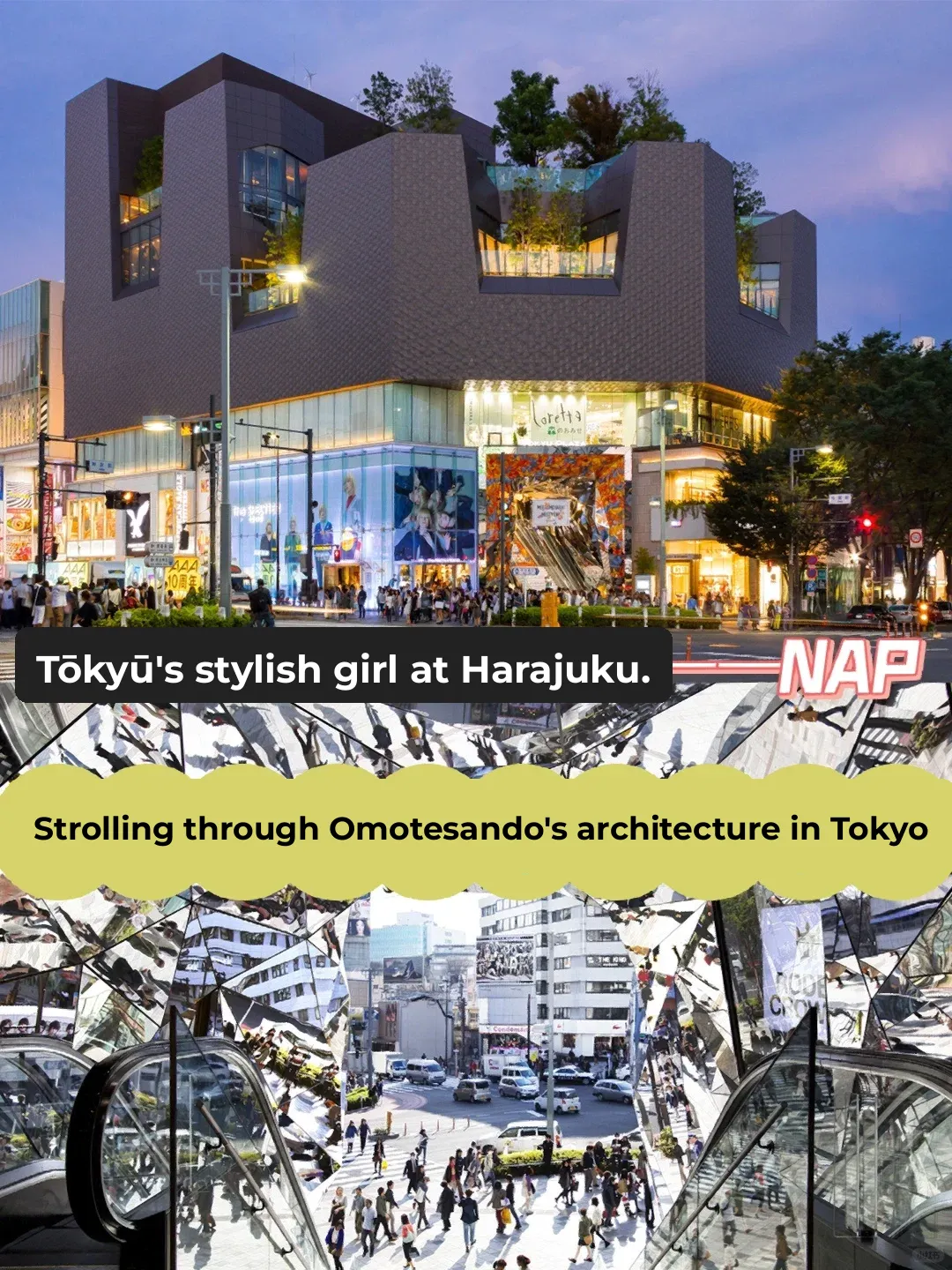 Gods' Battle: Iconic Architecture Around Omotesando