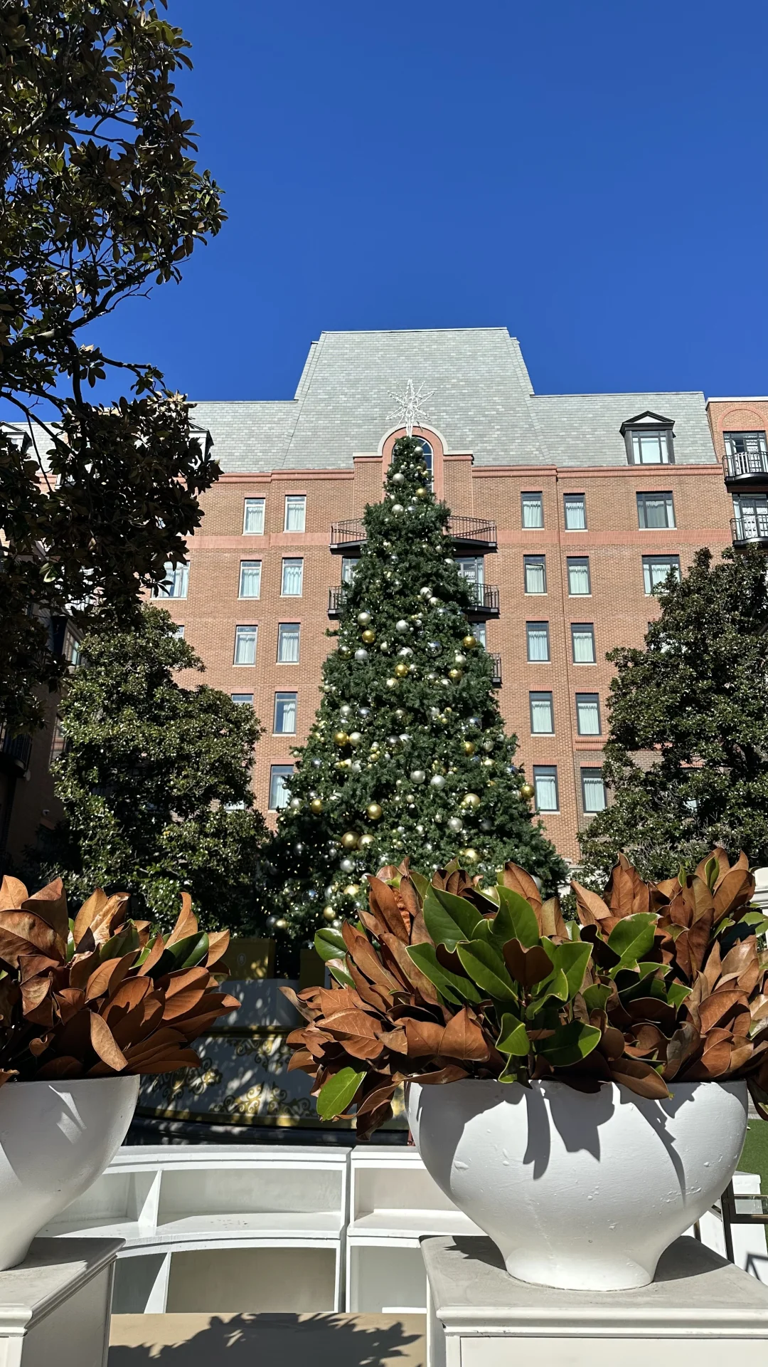 When a Gen Z Girl Travels Solo in the U.S. – A Morning in Charleston